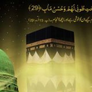 Aaila Zameer
