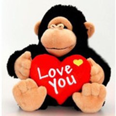 MonkeyHeart88
