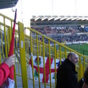 vikingFK