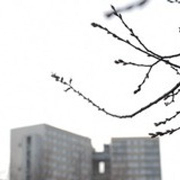 cultivons_nos_racines