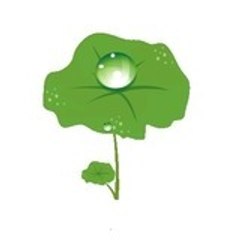 Nanovy
