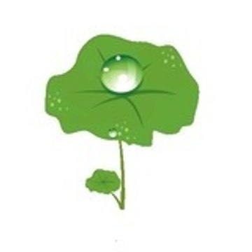 Nanovy