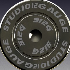 S12G