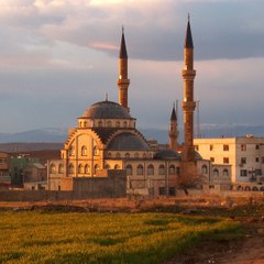 Reşit Çaylı