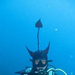 Nautile Lenautile Nautilus