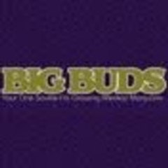 BigBudsMagazine