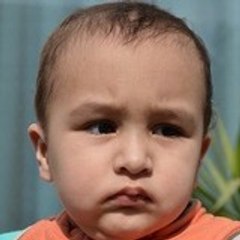 Ali Salman