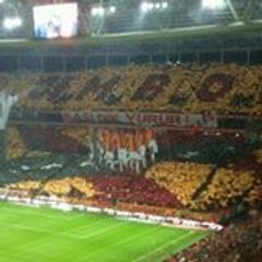 Mehmet Onur Yiğit