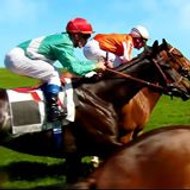 facile courses pronostiques