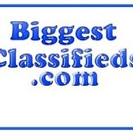 classifiedsamerican