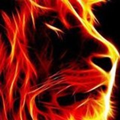 Sumeer Tiger