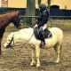 WorldOfPony