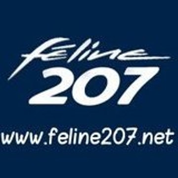 Féline 207