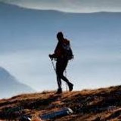 Traveling-Book-Review