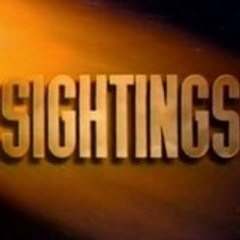 DigifanSightings