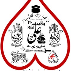 Wilayat-E-Ali Network