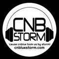 cnbluestorm