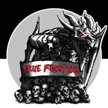 True-Fighters-Multigaming