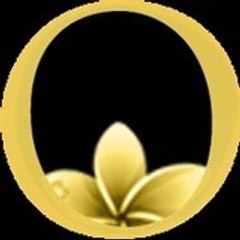 Black Lotus Casino