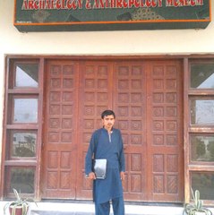 ehsan hp halani