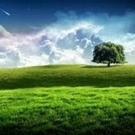 OutdoorsBooksReviews