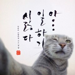 Taekgyun Lee