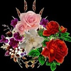 SBS_punjabi_video