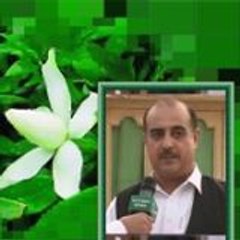 Fazal Momand