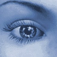 TransportEmpireHackGuide