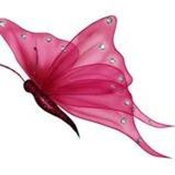 butterflyonlyyou