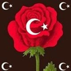Emine Usta Şair Ressam