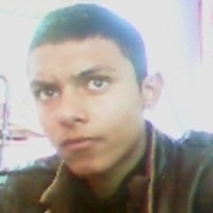 sertac sarmaşık