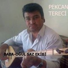 Pekcan Tereci