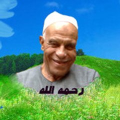 Ahmad Elkholy