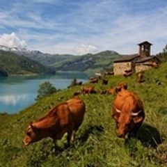 Yvelyne Chevalier Benze