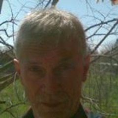 dusan dusan nadrljanski