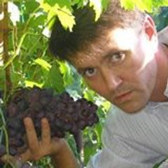 Владимир Денежкин