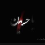 Syed Aon Abbas Naqvi