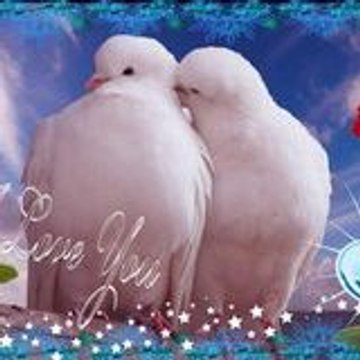 ღ.♥ŚĂĔĔĎ βĂŚĤĨŔ♥.ღ