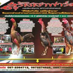 อดุม เอื้อประภาพร