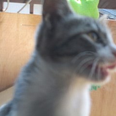 hiroki4500