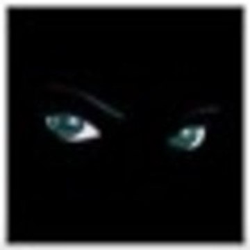 Mr_Krylion