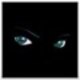 Mr_Krylion