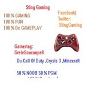 StingGaming