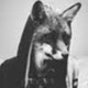foxtvgr