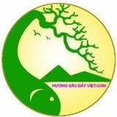 Huong Sac Dat Viet