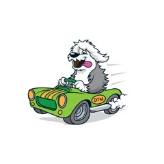 Gerard Raneri Home Dog Training
