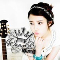 wangbifansub