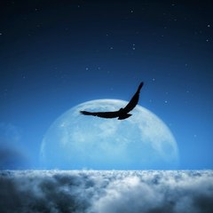 Stop Stress & Relax!