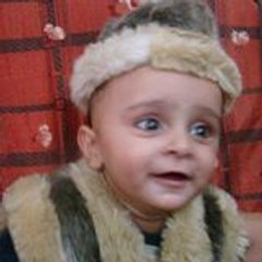 Muhammad Faisal Lutfi